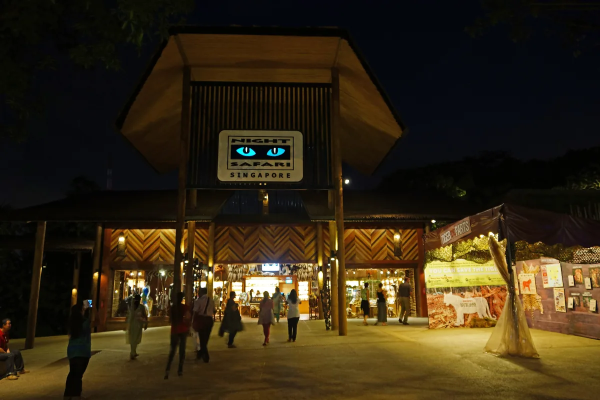 Η φωτισμένη είσοδος του Night Safari τη νύχτα, με κεκλιμένη στέγη, μπλε πινακίδα και κόσμο να κατευθύνεται προς την είσοδο